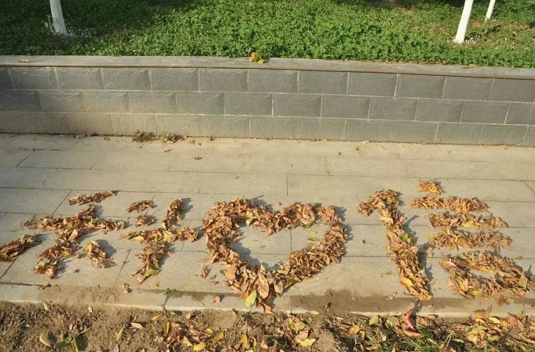 1699528590.jpg