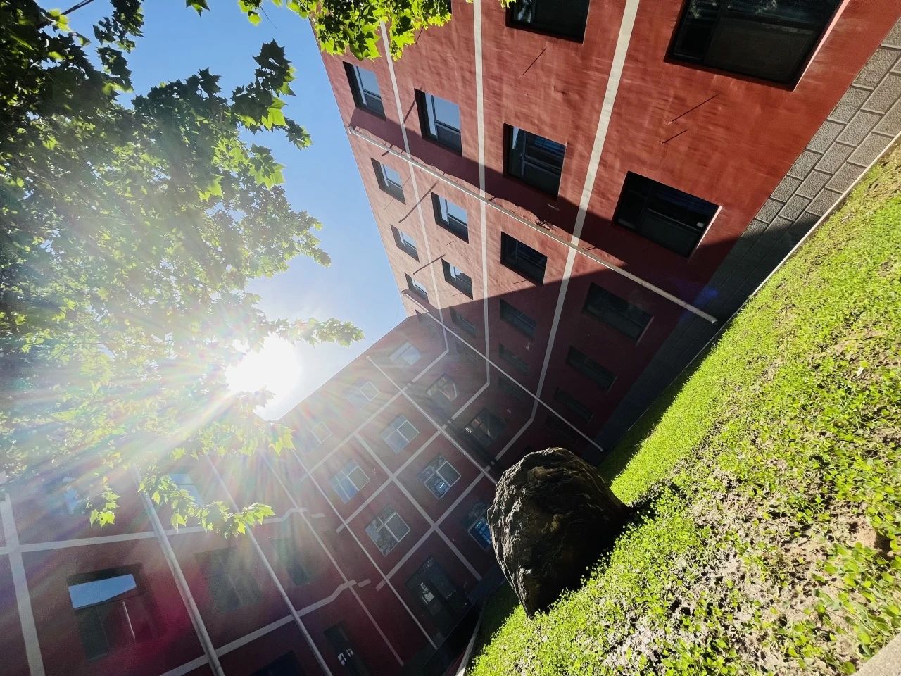 1716508379.jpg 1716508379.jpg