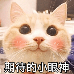 1717563888.png 1717563888.png